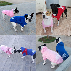 Dog Hoodies