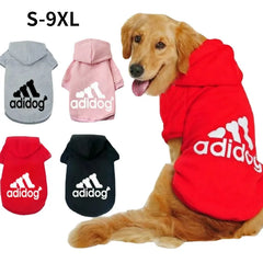 Dog Hoodies