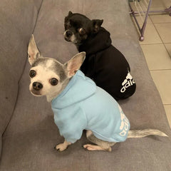 Dog Hoodies