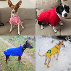 Dog Hoodies