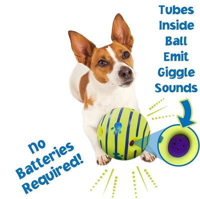 Glow Ball Interactive Dog Toy